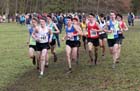 No 143 Zak Mill (Trafford) inside him Elliot Bowker (Vale Royal), 114 Patrick Dever (Preson Harriers),  156 Liam Burthem (Warrington) and 151 Samuel Whitehead (Vale Royal) leads the under-17 mens Northern Cross Country Champs, Knowsley Safari Park. Photo: David T. Hewitson/Sports for All Pics